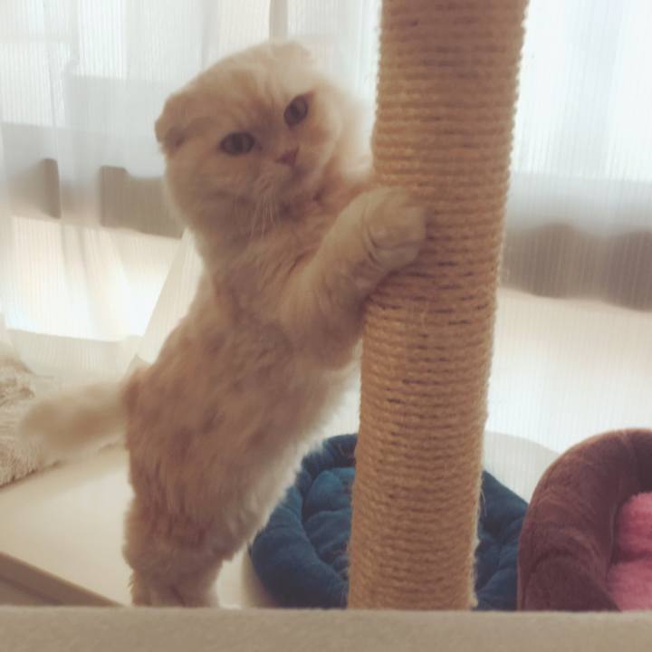 8ffc03de 5f92 43b8 97ed 3c67e82877ea