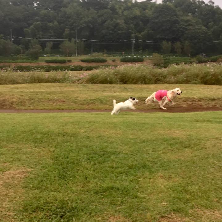 8ffc1469 928f 4f23 8c71 c1571ad3d340