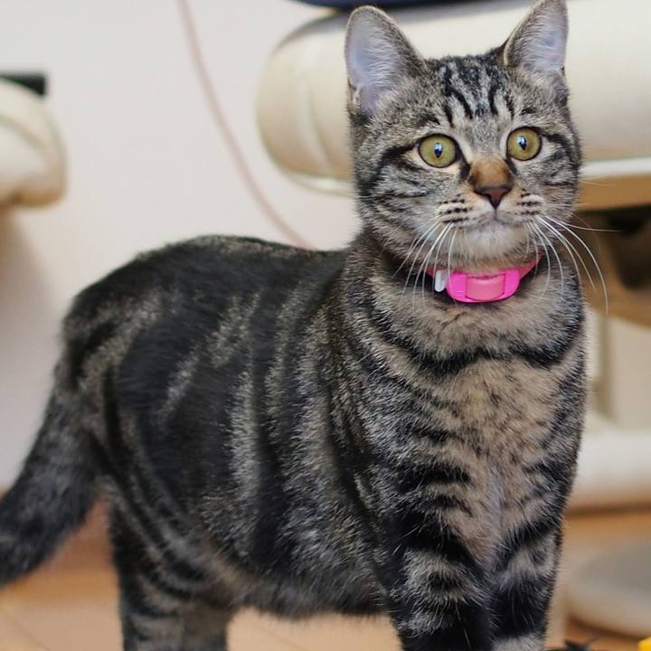 8ffc451b 307a 4c24 874b 99de9a0793b7