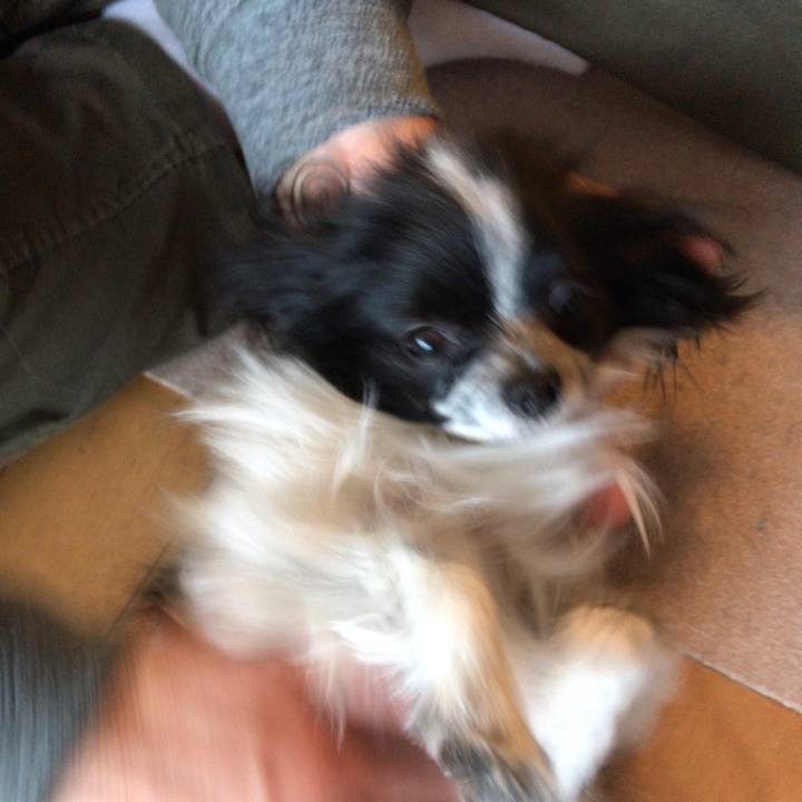 8ffcfa61 20ac 4cb8 8a6c f1d2cdef555c