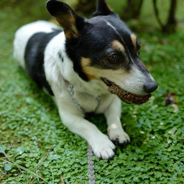 8ffd913c 4eda 4d35 8778 7c934bf0d996