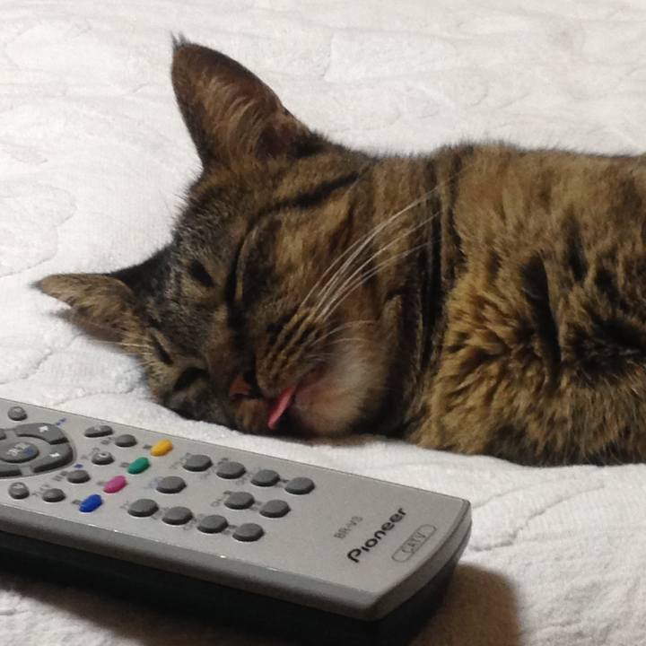 8ffe9e4b def7 4f52 a37d 9bbd613d5c76