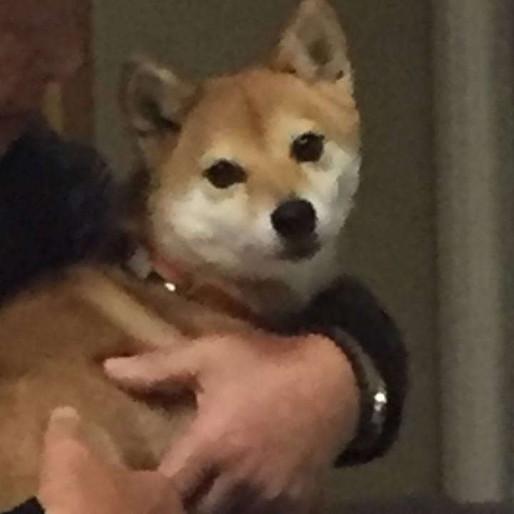 8fff2d1d f919 42ad bde1 c801145fca6d