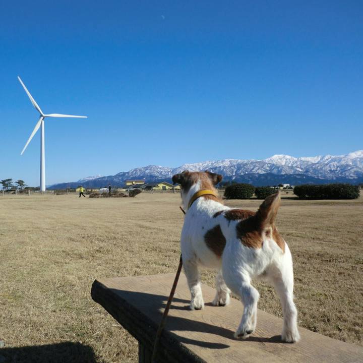 8fffc334 1dc2 4cde 86cb b0aa23490538