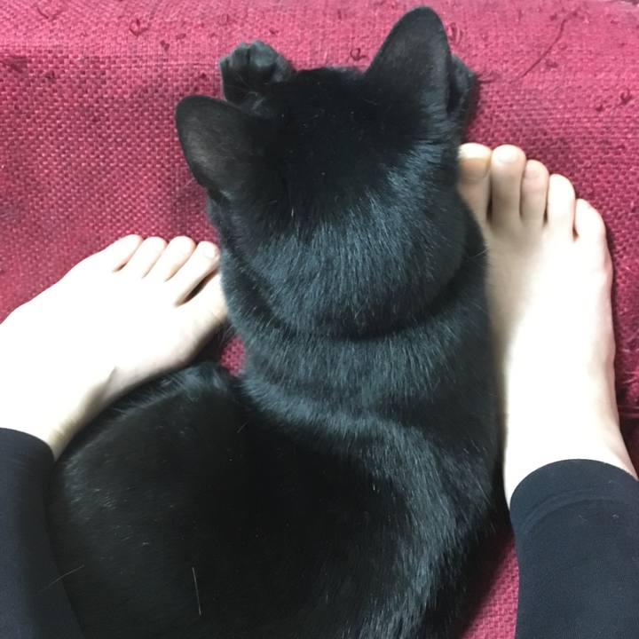 90000146 71ac 4aa0 9db8 db3baf320819