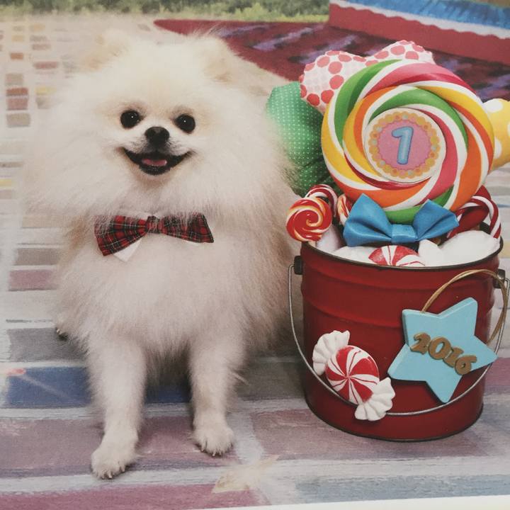 900089c7 84de 4add aa4c ca398d6f0ffa