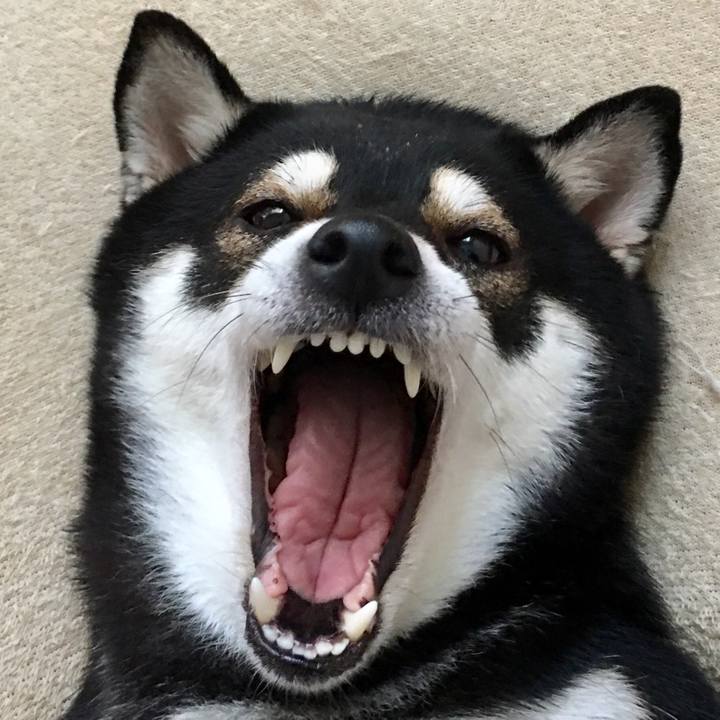 90020540 5ea6 4781 a1ee 98de8f5419fd