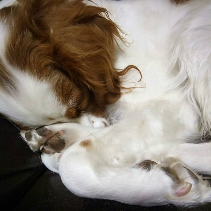 90033e29 86ae 4aeb 98a2 152378da6130