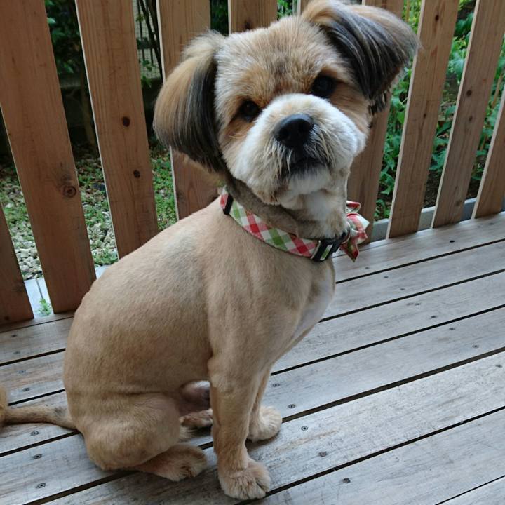 90035b74 1177 4737 8163 90c08c4d4ac5