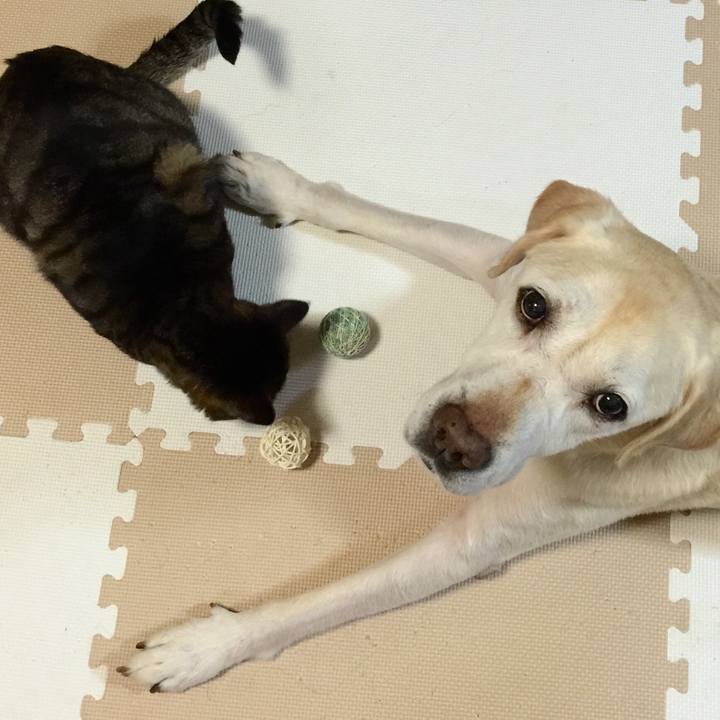 90038fee 5452 444a bdc0 13e902d358e4