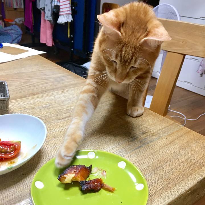 9003f6a6 0c9b 408a 9616 59b17c0db983