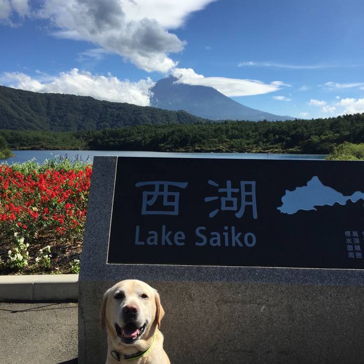 900409e4 4ea4 4eaa 9667 ecf6c7c43f90