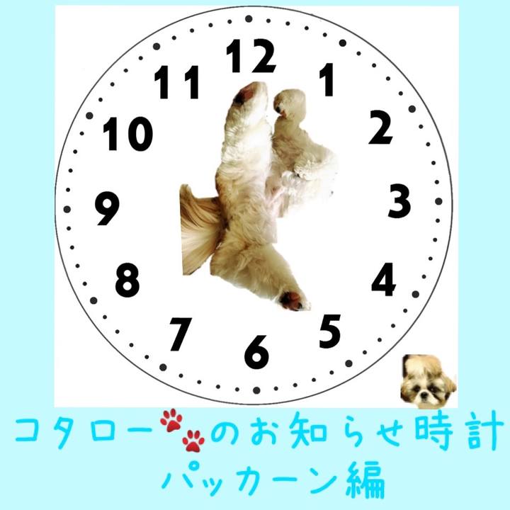 90044c4f 2ae7 40d1 a53f f8f4e6a48507