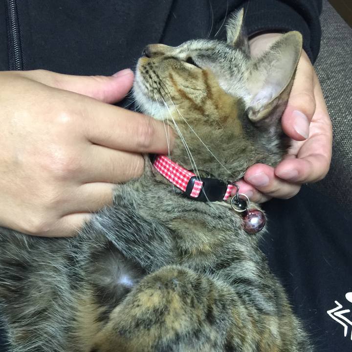 9005b15d ba34 4477 9a5d a6f29fdeddbc