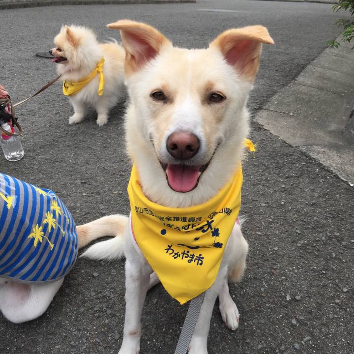 9005b4c4 d5be 4705 813e 310ee88d0538