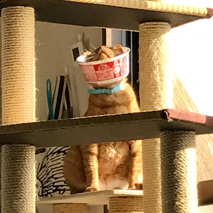 9005e941 2c26 4d91 bffe bdf4df56c620