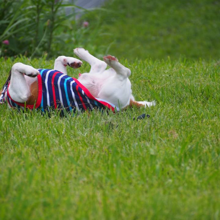 900705f2 0da3 4348 bbc9 cc6fe41e60d6