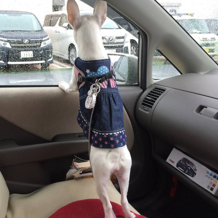 9007afb7 d556 4dd4 99df a351716c9ef5