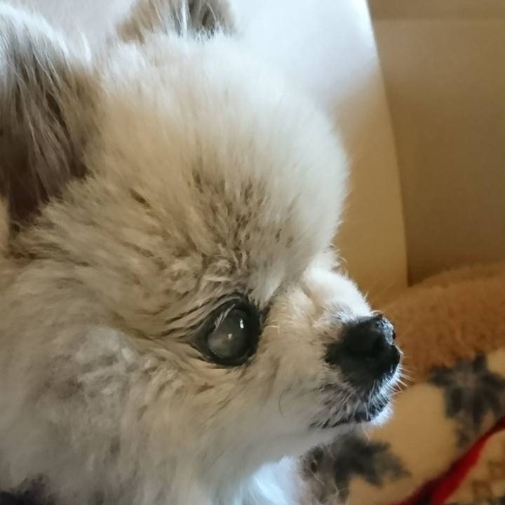 90092363 6de9 465e 9442 ef3d791b7daa