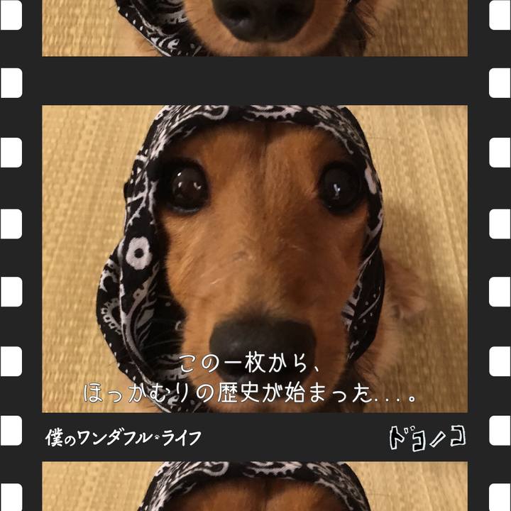 90092a9f d94e 4ba2 b590 a4880666e2f5