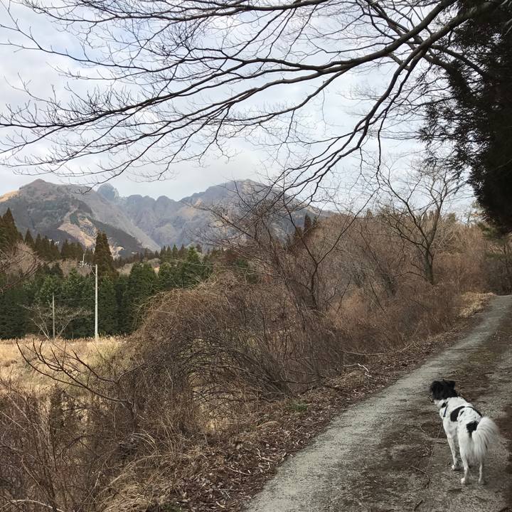 9009deaa c550 4429 a633 a0e4d3a516cf