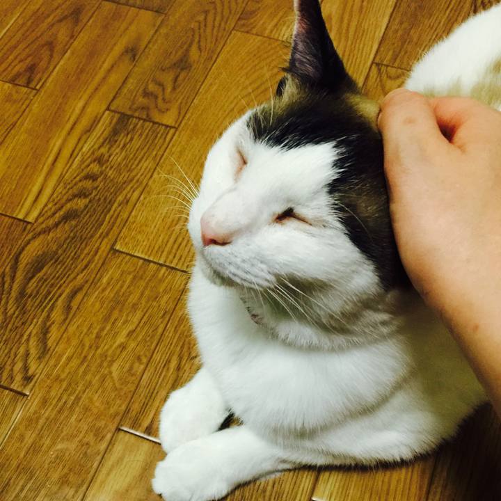 9009fdf1 63be 41aa 8ecc 0dfe16407042