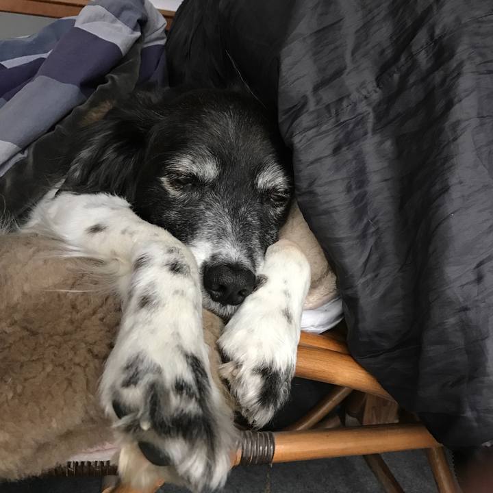 900a1a17 3152 440d 81ff dbaadcf6e7e4