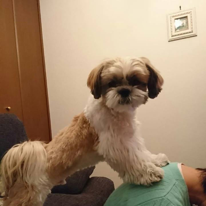 900a2886 2362 485d 8085 813ea43e3881