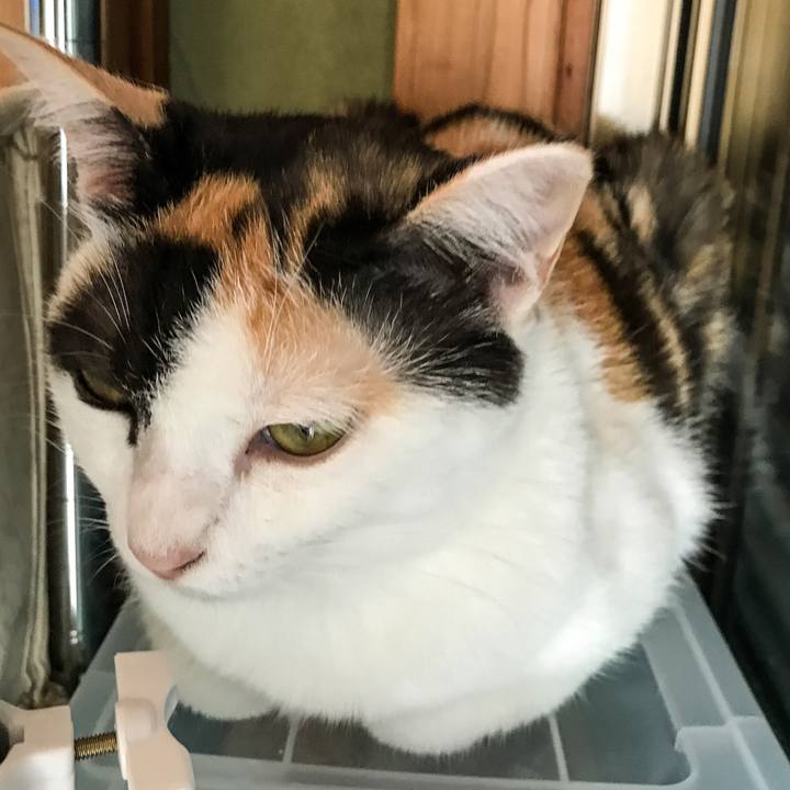 900a6545 2616 4d9a b087 078dbb8917d0