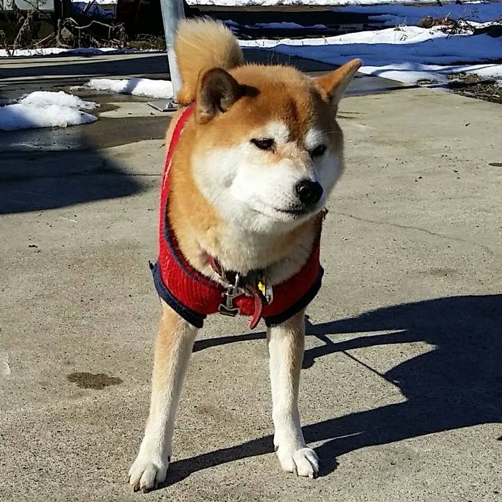 900a6a5b ef14 4073 bab4 3bfa416c14bd