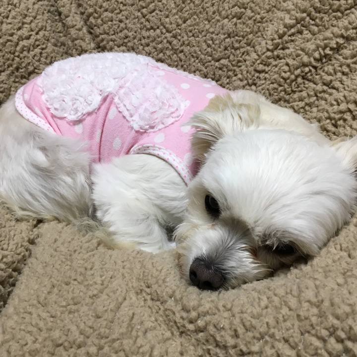 900a7ada 3b73 4892 90ef 683e4f297cae