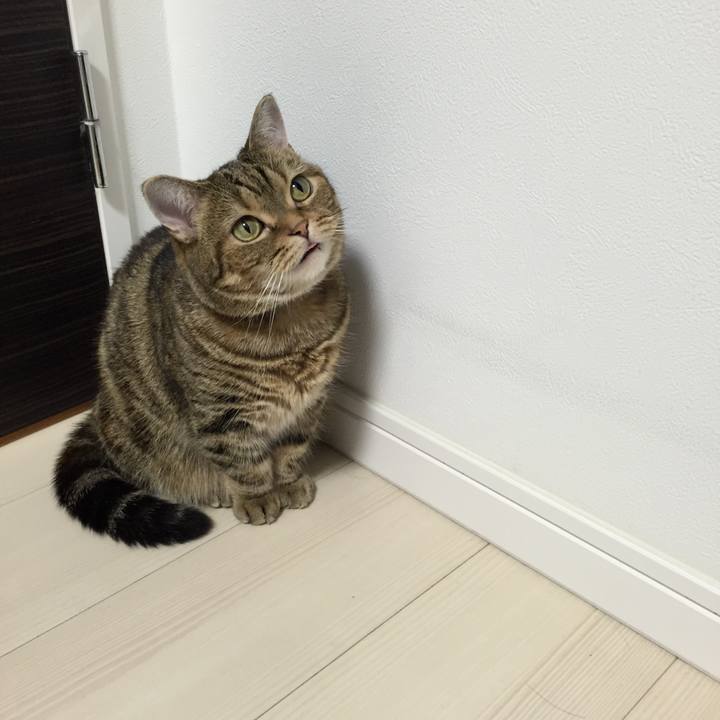 900b7919 0736 413f 8f46 ae33a65c828b