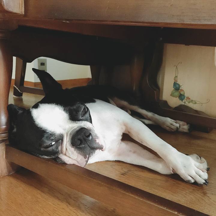 900b995c a286 46fa 9a6a 071691d7c48c