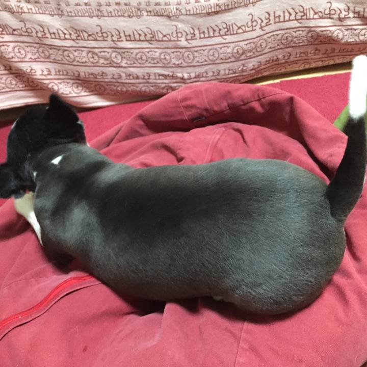 900c17d6 d02b 4213 845a 278d22685069