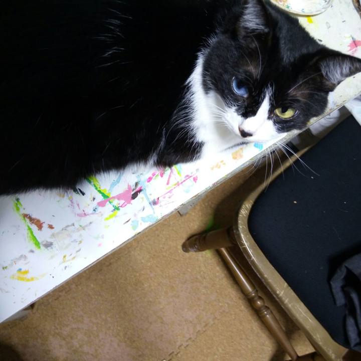 900cf356 5884 45d6 89ad 761c5676a7ea