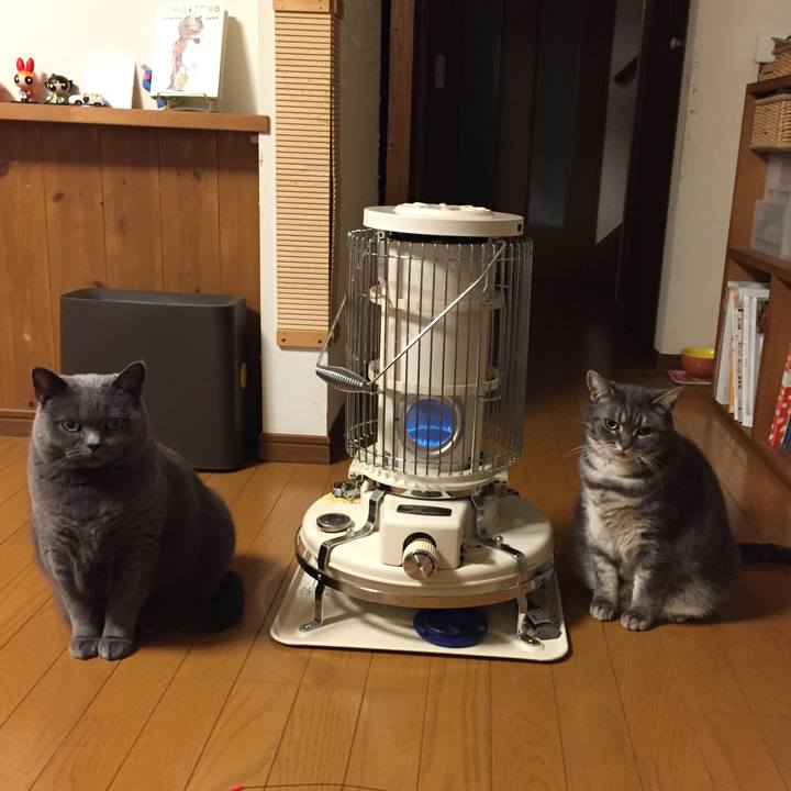 900d7b51 58a7 4f8b ab3a c1897ef82dbe