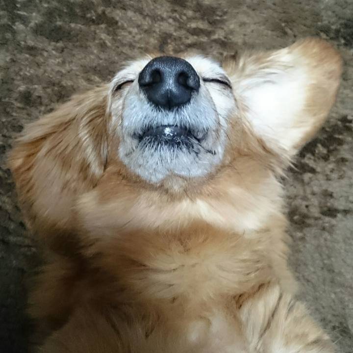 900dc83c ed72 4978 8249 4932c50dec24