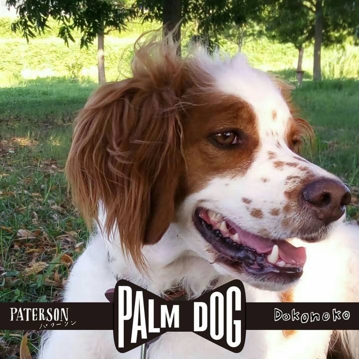 900dd133 5e08 49ef 9b16 0585d68e9540