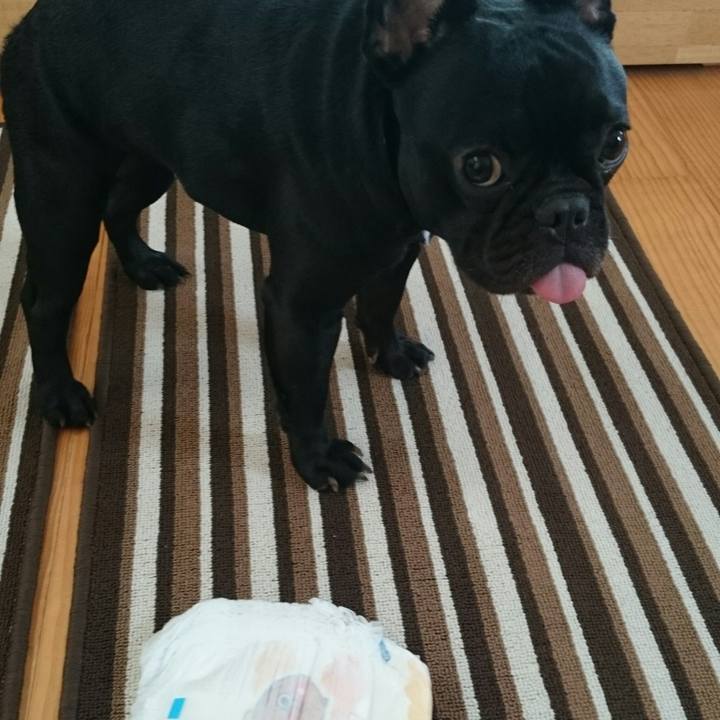 900e0f90 9e42 4a1f b489 1e05d1ef6924