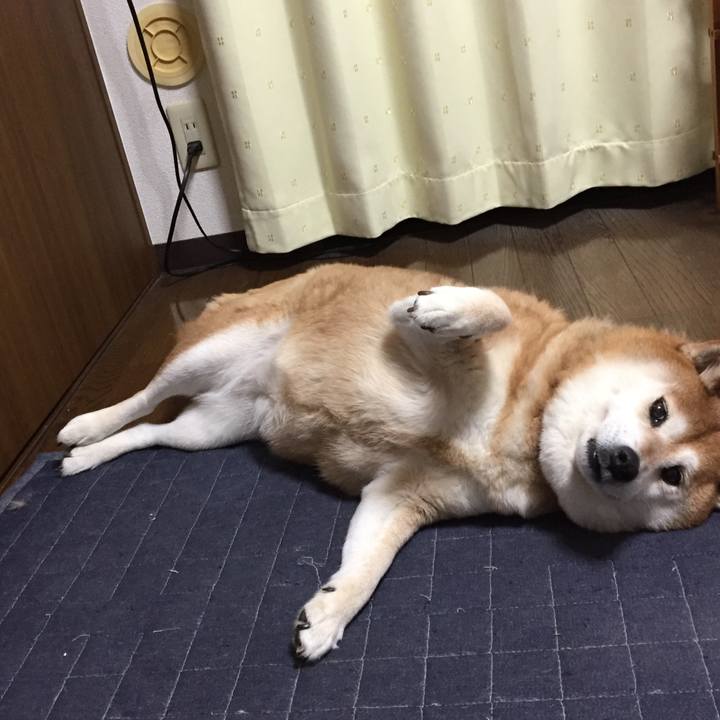 900e1dff 1f4c 426a 805b 15d32e405517