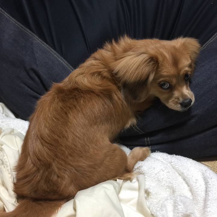 900e7b2e ee07 40c0 a663 62b01d6d4133