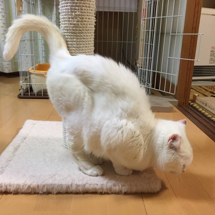 90103ad8 bf10 43df 8ea5 16140ea65cd8