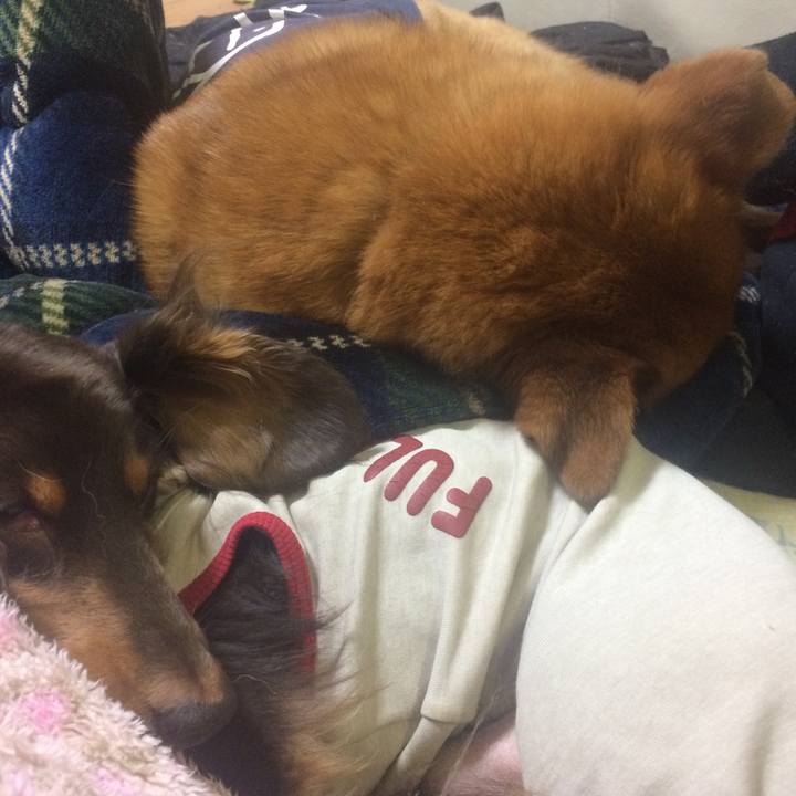 901112ac 695a 4dff a1a1 affe0c51eb3b