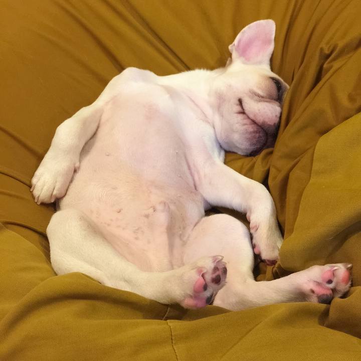 9011d747 aa55 4fbf bf33 96679dfdf585