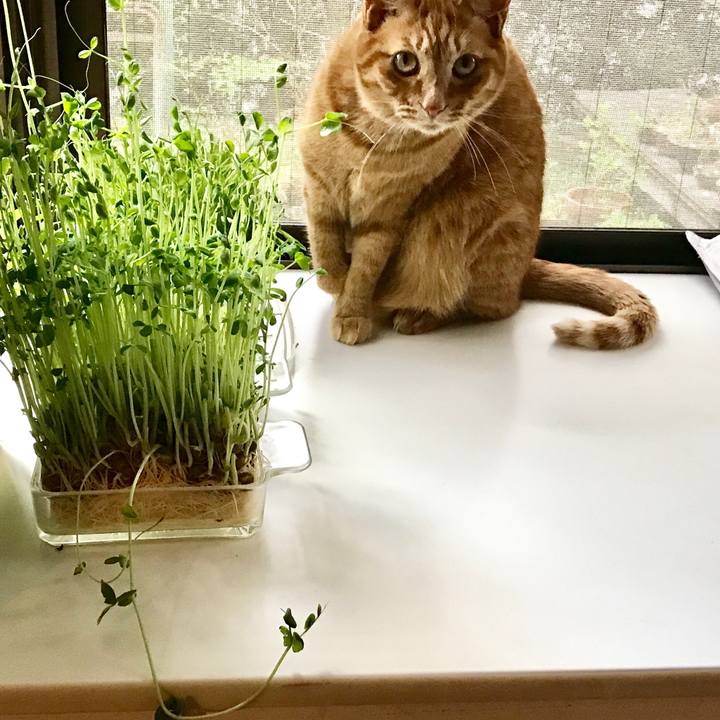 90122901 161e 4237 8ce5 cbb692c947c5