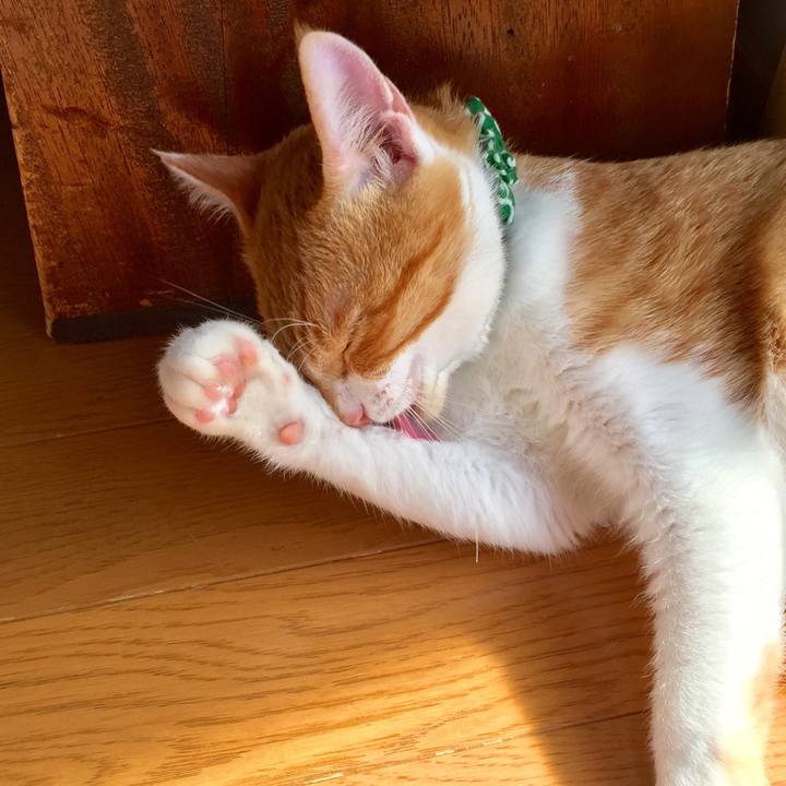 9012341d 209a 435c 8493 c9c2b10b00eb