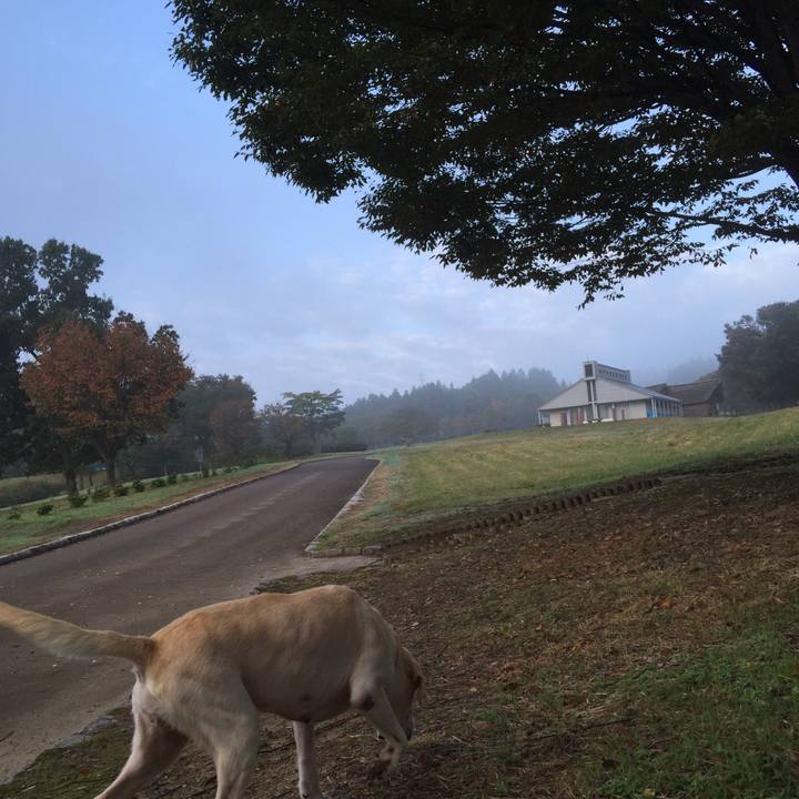 90127d6c 3a37 49f2 b4c5 261e78d5b36d