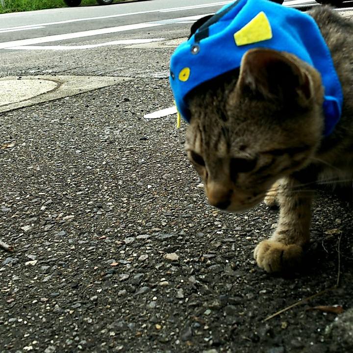 90129091 3b1f 4f55 b5fa 5c482c0c5ca8