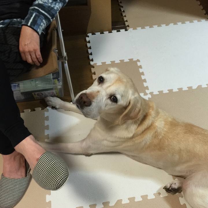 90129411 aee8 4387 a772 c831954d54a6