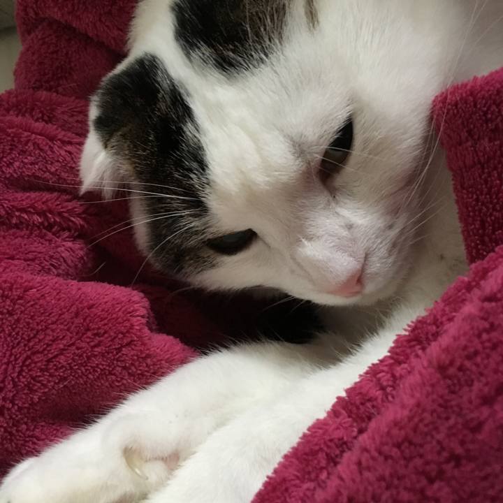 9012c152 8426 4a48 8cb8 b2b2ceae4f2a